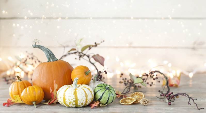 Autumn holiday pumpkin arrangement against an old white wood background